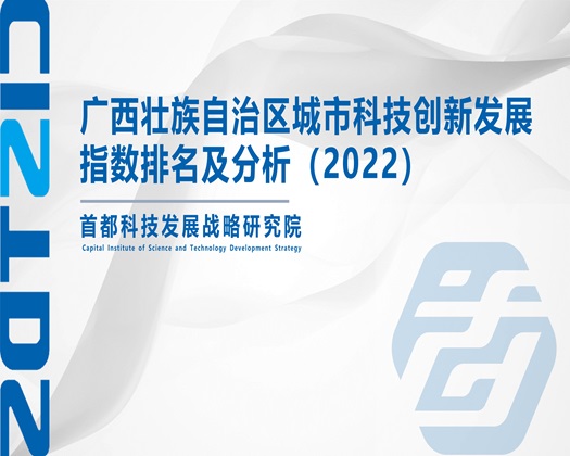 日本大鸡巴肏大屄【成果发布】广西壮族自治区城市科技创新发展指数排名及分析（2022）